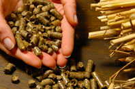 free Wants Green biomass boiler quotes