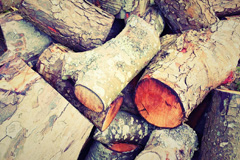 Wants Green wood burning boiler costs